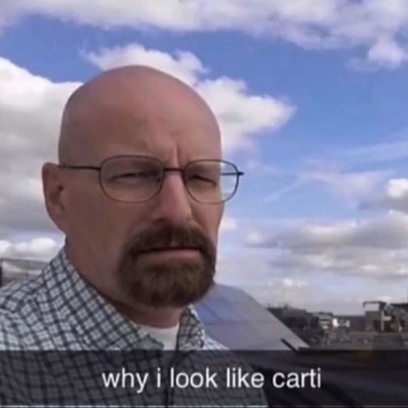 Meet your Posher, Robin - Picture 3 of 4